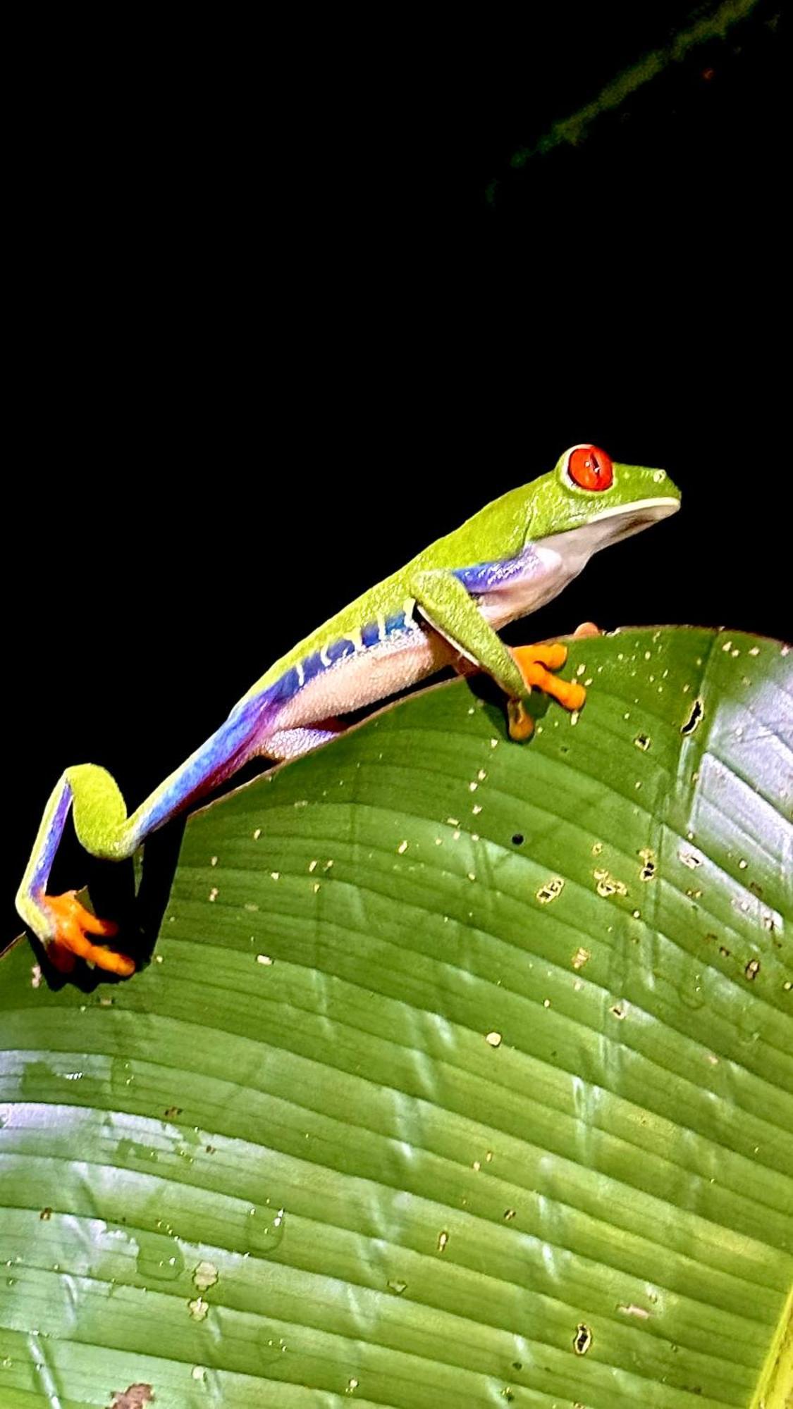 H Et L Tortuguero Exterior foto